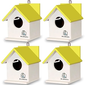 birdshala bird house for sparrow budgies amp finches with air ventilation and mounting hook- set of 4 yellow medium