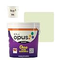 Birla Opus One Pure Elegance Interior Paint