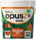 BIRLA OPUS POWER FIT 20L ACE SPARC White Emulsion Wall Paint (20 L)