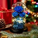 Birthday Gifts for Women Mom Fresh Flowers for Delivery Prime Forever Preserved Rose in Glass Dome Gifts for Her Girlfriend Grandma Daughter Wife Valentines Mothers Day Christmas Anniversary-Blue