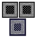BISMAADH Unisex Cotton Paisley Cowboy Bandanas - Pack of 3
