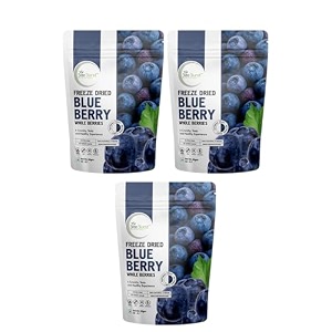 biteburst freeze dried blueberry fruit snack  crunchy real fruit bites no added sugar gluten free vegan no preservatives  20gm x pack of 3