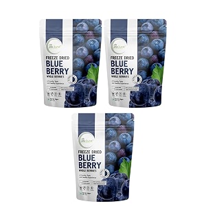 biteburst freeze dried blueberry fruit snack  crunchy real fruit bites no added sugar gluten free vegan no preservatives  20gm x pack of 2