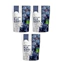 Biteburst Freeze Dried Blueberry Fruit Snack – Crunchy Real Fruit Bites, No Added Sugar, Gluten Free, Vegan, No Preservatives | 20gm x Pack of 3