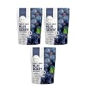 Biteburst Freeze Dried Blueberry Fruit Snack – Crunchy Real Fruit Bites, No Added Sugar, Gluten Free, Vegan, No Preservatives | 20gm x Pack of 2