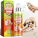 Bitter Apple Spray for Dogs, Dog No Chew Spray to Stop Chewing & Gnawing, Natural Anti‑Chew Training Aid for Puppies, Safe for Furniture or Shoes, Indoor and Outdoor Behavior Corrector