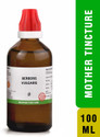 Bjain Berberis Vulgaris Q Mother Tincture