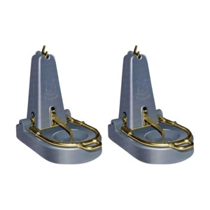 Black Cat Standard Rat TrapMouse Catch Pack