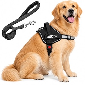 Black Dog Vest Harness with Leash -