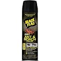 Black Flag Dry Ant and Roach Killer 9 Oz, Dry Formula Aerosol Spray, 12 Pk