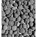 Black Lava Rocks for Fire Pit, Gas Fireplace Rocks, 1/2 to 1 Inch, 10 lbs