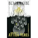 The Black Maybe: Liminal Tales
