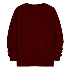 THE BLAZZE Womens Fleece Stretchable Full Sleeves