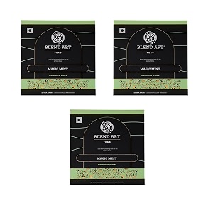 blendart mint green tea bags  darjeeling green tea bags  combo pack of 3 15 tea bags each