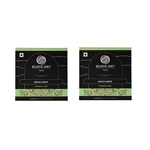 blendart mint green tea bags  darjeeling green tea bags  combo pack of 2 15 tea bags each