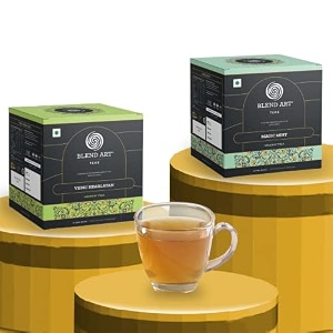 blendart vedic himalayan amp magic mint green teabags pyramid teabags  darjeeling green tea  combo pack of 2 15 teabags each
