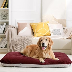 blessing magic dog extra large dog bed orthopedic pet beds jumbo crate pad mat washable anti slip bottam dog sleeping mattress with removable cover burgandy l
