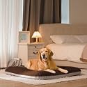 Blessing Magic Dog Extra Large Dog Bed Orthopedic Pet Beds Jumbo Crate Pad Mat Washable Anti Slip Bottam Dog Sleeping Mattress with Removable Cover (Dark Brown, XL)