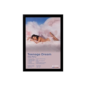 BLINKART Katty Perry - Teenage Dream Wall