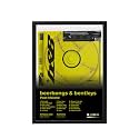 BLINKART Post Malone- beerbongs amp bentleys Wall