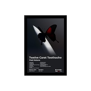 BLINKART Post Malone- Twelve Carat Toothache Wall