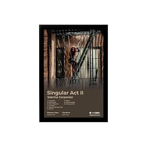 BLINKART Sabrina Carpenter- Singular Act II Wall