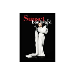blinkart sunset boulevard 1950 movie poster frame 8x12 inch  premium 300 gsm paper wall print  vintage film artwork for home bedroom living room office  framed photo decor