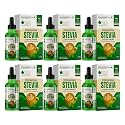Bliss of Earth Stevia Liquid Drops Sugar free Zero Calorie Diabetic and Keto Friendly Sugar Substitute Glycerin Free 99.8% REB Glass Bottle (30 ml (Pack of 6))