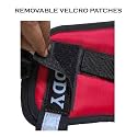 Blue Dog Vest Harness with Leash -