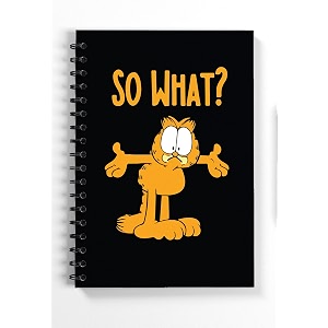 diairies notebook funny 6 x 9 inch multicolour_bnnbk262