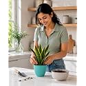 Blue Plastic Flower Pot for Indoor amp