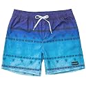 Ombre Blue/Teal Youth Board Shorts