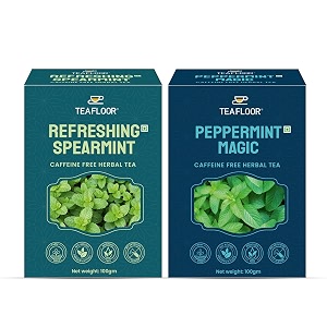 teafloor 100 dried refreshing spearmintpeppermint magic tea 200g  pcod and pcos relief helps hormonal balance relief bloating and gas