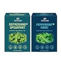 TEAFLOOR 100% DRIED REFRESHING SPEARMINT,PEPPERMINT MAGIC TEA (200G) | PCOD and PCOS RELIEF, HELPS Hormonal balance, RELIEF BLOATING and GAS||