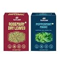 TEAFLOOR 100% DRIED ROSEMARY LEAVES,PEPPERMINT MAGIC TEA (250G)|| A tea combo for Bloating, Gas Relief, and Immunity Boosting, Hair Growth and Food Seasoning, Water &amp; Oil ||