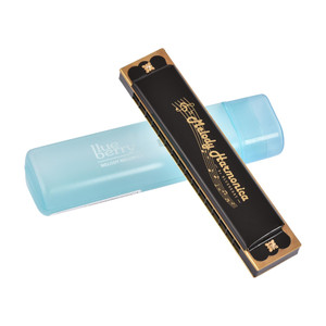 blueberry r-1601 harmonica for beginners harmonica for kids16 holes 32 tunes mouth organ