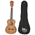 BLUEBERRY UK-10 Concert Ukulele, Nylon String, Sapele Body, Engineering Wood Fingerboard & bridge, Matte Finish, with Bag and Picks - 23 Inch (Natural Brown)
