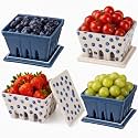 Blushtier 4 Pack Ceramic Berry Basket with Lids,Blueberry,Blue,White
