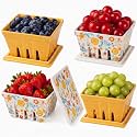 Blushtier 4 Pack Ceramic Berry Basket with Lids, Flower, Yellow, White