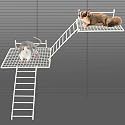 BNOSDM Rat Cage Platform with Ladder 4 PCS Small Animals Cage Accessories Metal Guinea Pig Climbing Toy for Sugar Glider, Chinchillas, Squirrel, Gerbils, Mouse Standing Jumping