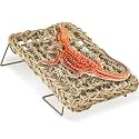 BNOSDM Reptile Hammock Bearded Dragon Bed Basking Platform Tank Accessories
