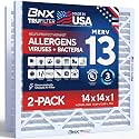 BNX TruFilter 14x14x1 Air Filter MERV 13 (2-Pack) - MADE IN USA - Electrostatic Pleated Air Conditioner HVAC AC Furnace Filters for Allergies, Pollen, Mold, Bacteria, Smoke, Allergen, MPR 1900 FPR 10