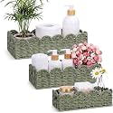 Boao 3 Pcs Boho Storage Wicker Baskets Handmade Woven Decorative Paper Rope Baskets for Organizing with Handle Countertop Toilet Paper Storage Container for Toilet Tank Top(Green,Fan-shaped)