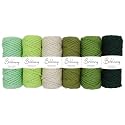 Bobbiny 3Ply Twisted Macrame Cotton Cord Dori (Each Color 4mm 100 Meter) Thread for Macrame DIY and Other Projects_Black Mint Parrot Mahendi Green Off White.