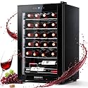 BODEGA COOLER 24 Bottle Wine Cooler, Wine Fridge for Office, Kitchen & Bar