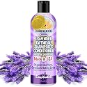 Bodhi Dog Premium Lavender Oatmeal Shampoo &amp; Conditioner - Organic Formula for Dogs, Cats &amp; Pets - Hypoallergenic, Soothes Dry, Itchy Skin &amp; Supports Skin Health - Made in USA (8 Fl Oz)