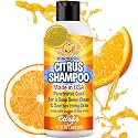 Bodhi Dog Refreshing Orange Citrus Shampoo - Deep Cleaning Coconut &amp; Aloe Formula - Natural Soothing, Moisturizing Pet Wash for Dogs, Cats, Puppies - Tear-Free (17 Fl Oz)