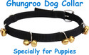 BODY BUILDING Dog Everyday Collar