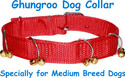 BODY BUILDING Dog Everyday Collar