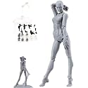 Body Kun, Gray Female Desktop Figure Model, Includes Accessories, Ideal for Drawing, Painting, Photography, and Home Decoration, Figure Model for Sketching, Office and Home Decor